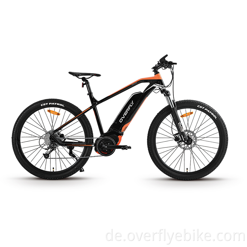 Mountain ebike